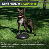 Strengthen Core & Improve Posture with Our 14” Balance Disc Trainer